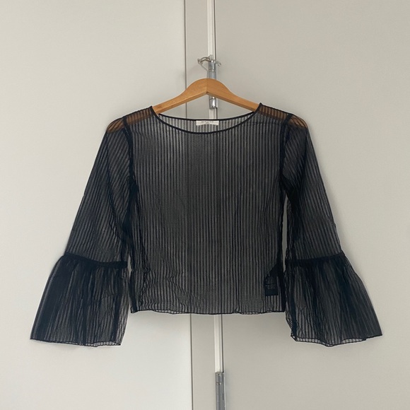 Aritzia sheer top - Picture 1 of 3